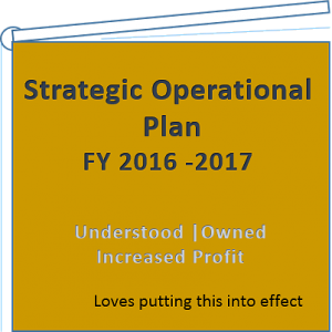 operational plan mini16.v.1